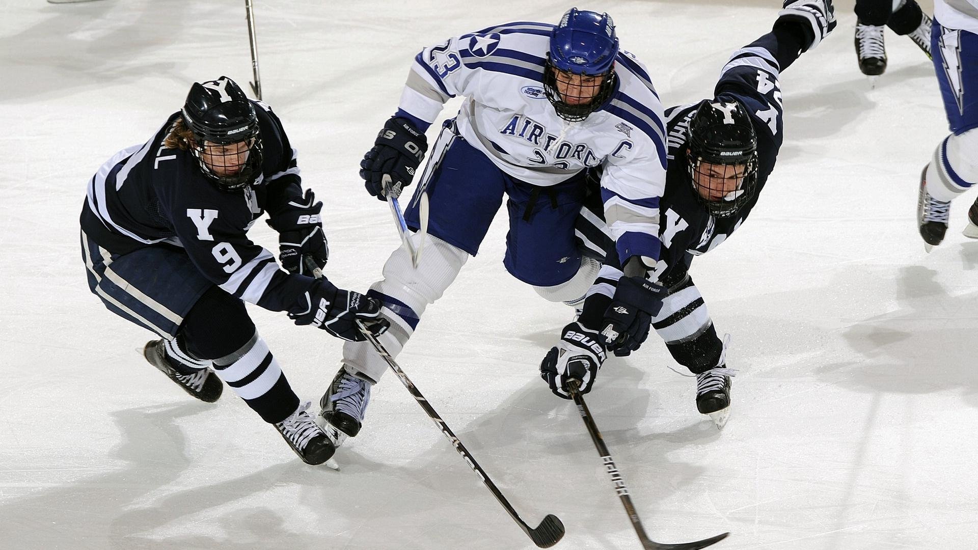 Kaiyun APP-美国传统马术赛事“Mustang Challenge”在拉斯维加斯成功举办，吸引众多观众参与。